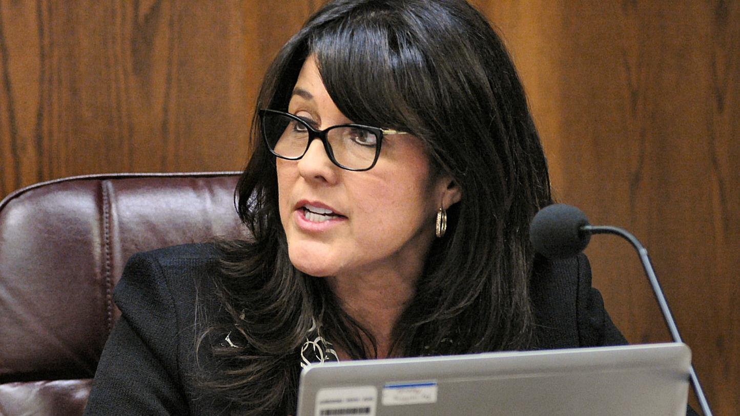 GOP-led panel votes to investigate Democrat over vouchers petition